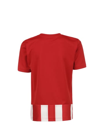 adidas Performance Fußballtrikot Striped 21 in rot / weiß