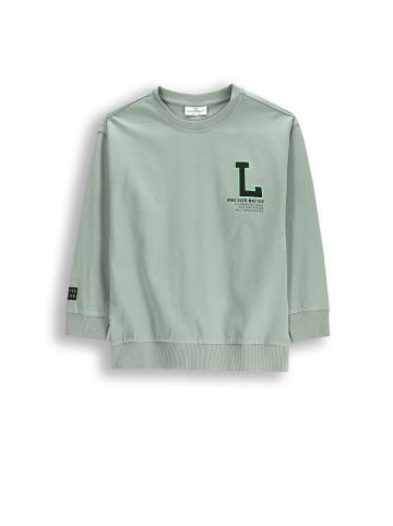 Coccodrillo Langarm-T-Shirt in grün