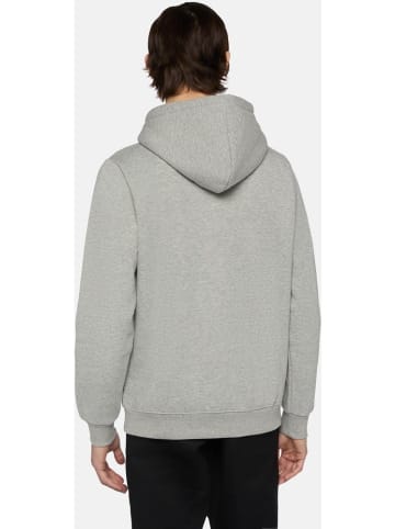 Dickies Hoodie "Icon Logo Hoodie" in Grau