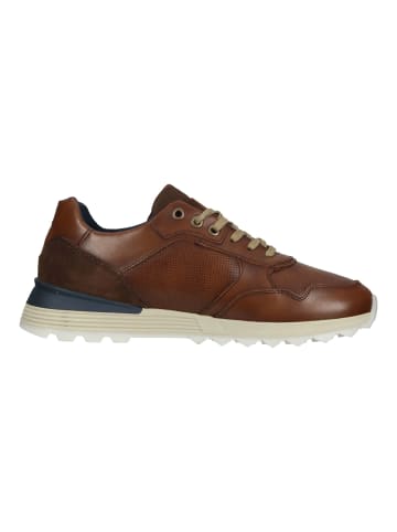 Bullboxer Sneaker in Cognac