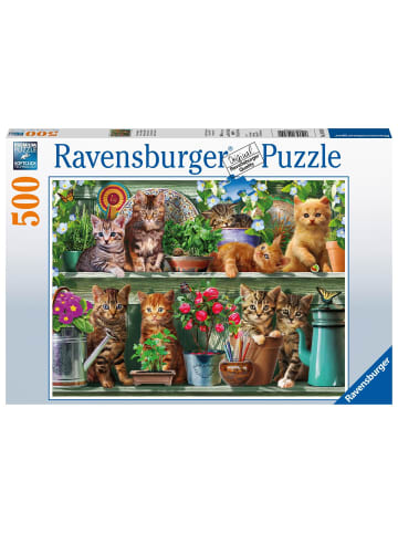 Ravensburger Katzen im Regal - Puzzle mit 500 Teilen