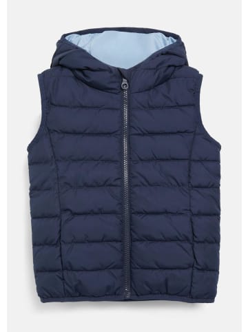 s.Oliver Outdoor-Weste in 5952_navy