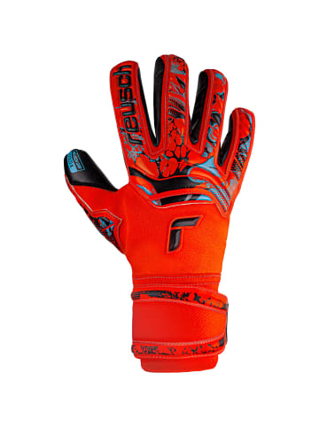 Reusch Torwarthandschuhe Attrakt Gold X in orange