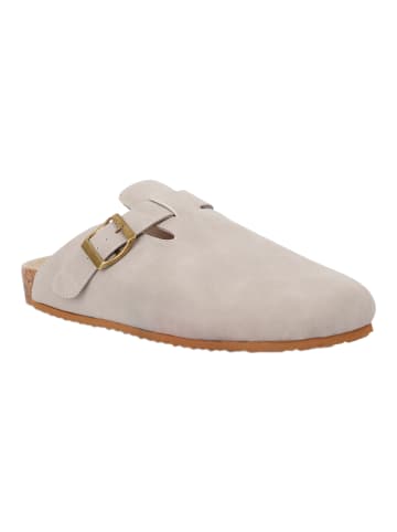Regatta Freizeitschuhe Kaber in beige