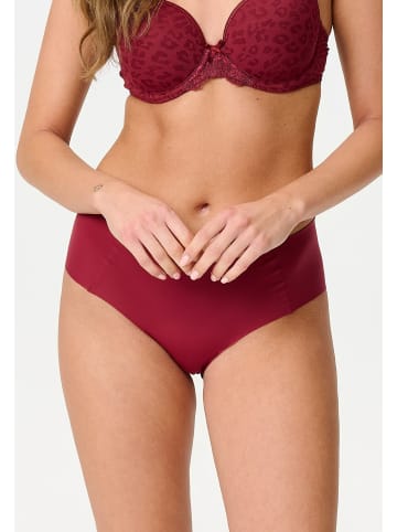 LINGADORE DAILY 2-pack Hipster Ruby wine