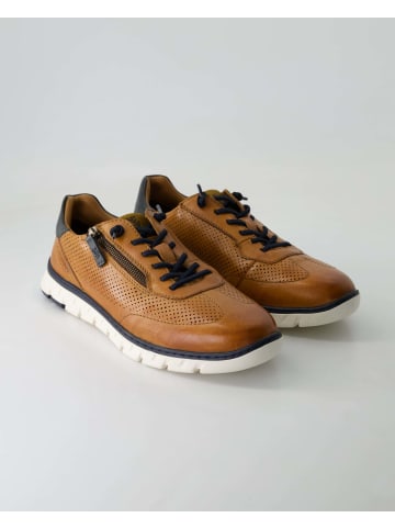 SALAMANDER Sneaker low in Braun