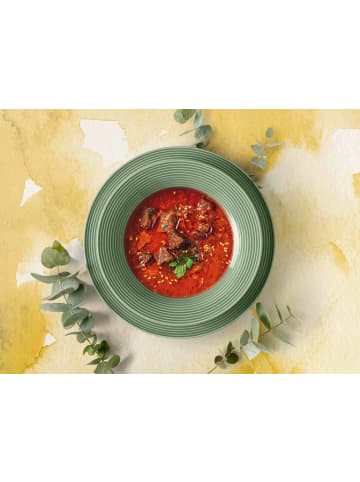 Seltmann Weiden 6er Set Suppenteller Beat Color Glaze in ø 22,5 cm in Salbeigrün