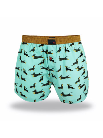 Unabux Boxer Prints in türkis