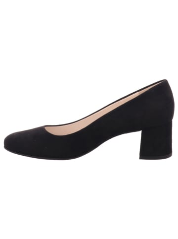 Paul Green Pumps bis 45 mm 0073-3554-013/Pumps in  Schwarz