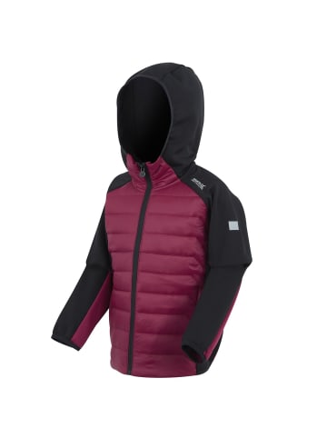 Regatta Kielder IX Hybrid Jacke in Dunkelrot