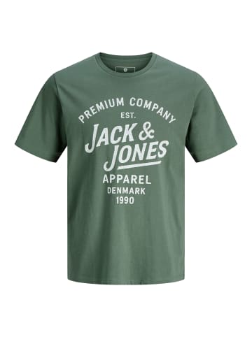 Jack and Jones T-Shirt Bluzane Short Sleeve Tee in Grün