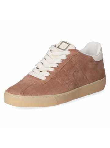 Högl Schnürhalbschuh in brown