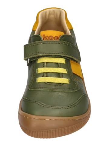 KOEL Sneaker Low DYLAN LEATHER 3.0 in grün
