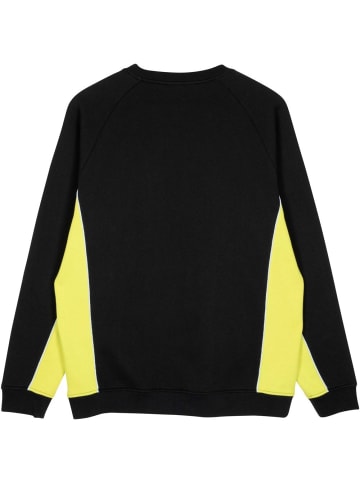 Santa Cruz Pullover "Strip Front Racer Crew" in Grün