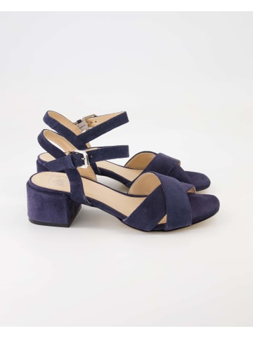 Terry Business Schuhe in Blau