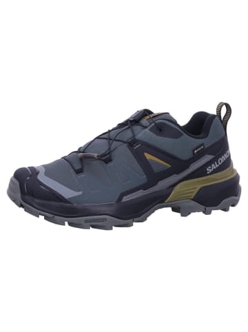 SALOMON Wanderschuhe X ULTRA 360 GTX in Grau