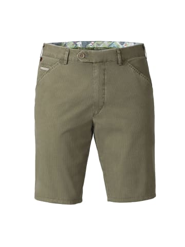 Meyer Chinoshorts Chicago in OLIV