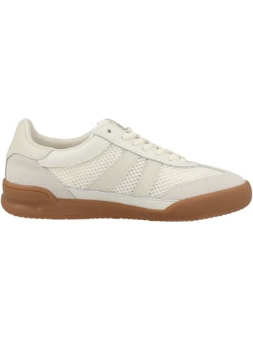 Steve Madden Sneaker low Verdict in weiss