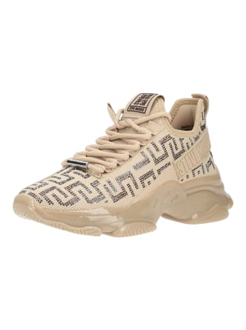 Steve Madden Sneaker MAXOUT in Khaki