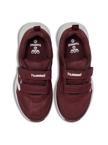 Hummel Klettverschluss Shoe Turbo Run Lebensstil Kinder in VINEYARD WINE