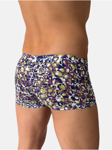 Olaf Benz Retro Pants RED2610 Minipants in violet style