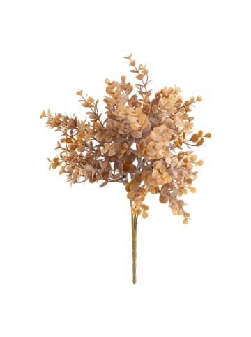 Atmosphera Créateur d'intérieur Eukalyptus in orange