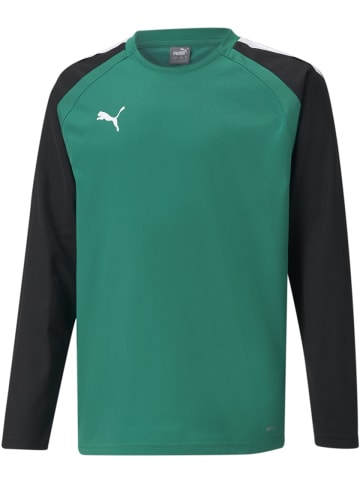 Puma Pullover "TeamLIGA Training Sweat Jr" in Grün