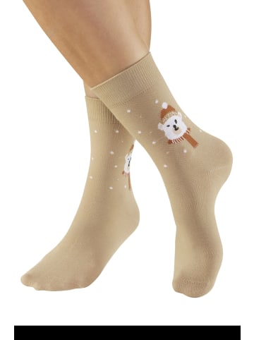 H.I.S Basicsocken in 2x dunkel beige, 1x hell beige