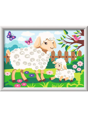 Ravensburger Malprodukte CreArt, Malen nach Zahlen Kinder - Schaf mit Lämmchen Malen nach Zahlen Kinder Ab 9 Jahre in bunt