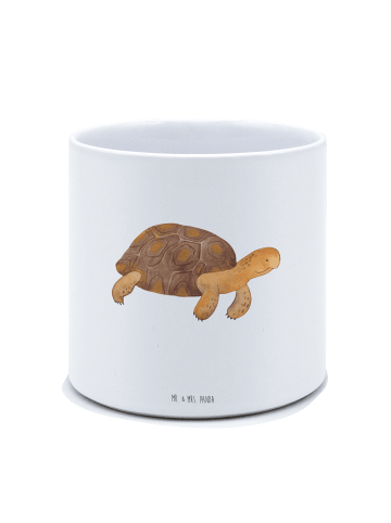 Mr. & Mrs. Panda Blumenkübel Schildkröte MHerzieren ohne Spruch in Weiß