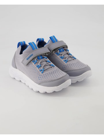 Geox Klettschuhe in Grau