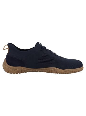 Josef Seibel Sneaker low Wallace 05 in blau