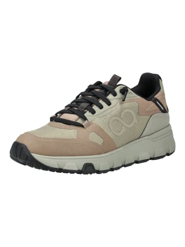 Tenhaag Sneaker in Olive
