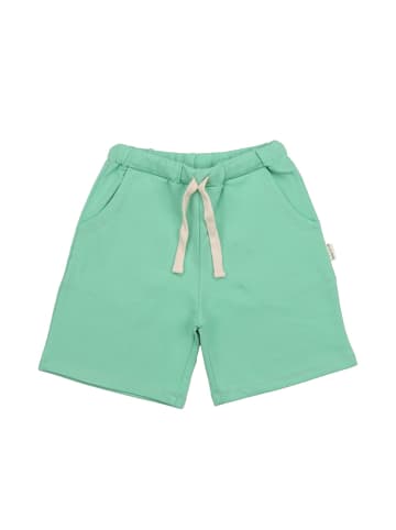 Walkiddy Shorts Light Grass Green-Shorts