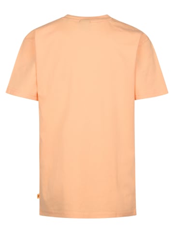 Petrol Industries Jersey T-Shirt Saguaro in Orange