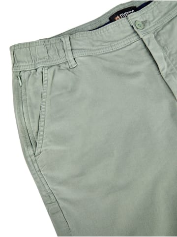 riverso  Short RIVConnor regular/straight in Grün