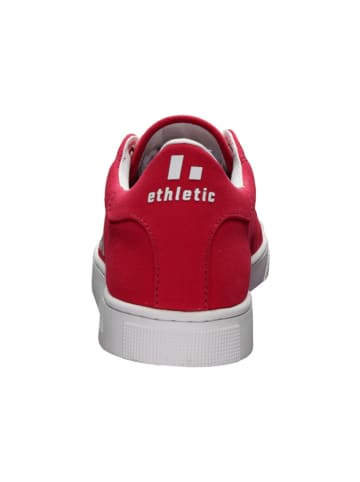 ethletic Canvas Sneaker Active Lo Cut in Cranberry Red | Just White