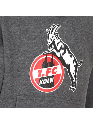 Fußballverein 1. FC Köln Kinder Sweatshirt "Hoodie Basic Anthrazit" in Grau