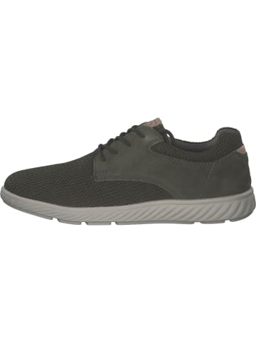 Bugatti Klassische- & Business Schuhe in dark green/dark green