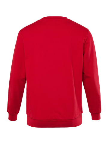 Men Plus Sweatshirt in rot