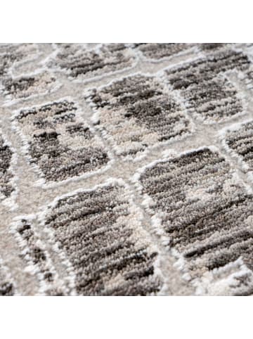 Vivorum Teppich Amora 260 in grau - rechteckig