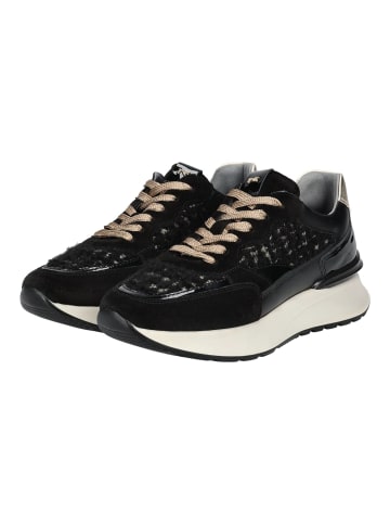 Nero Giardini Sneaker Schwarz Kombi
