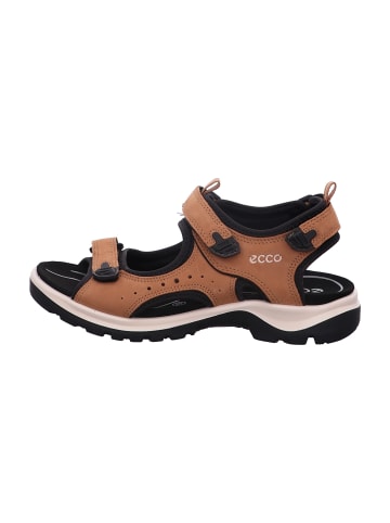 Ecco Trekkingsandalen in Braun