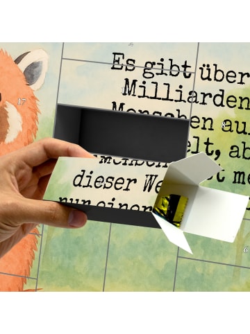 Mr. & Mrs. Panda Adventskalender Selbst Befüllen Roter Panda Des... in Weiß