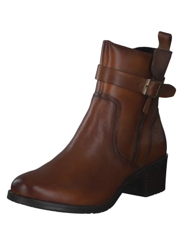 TT. BAGATT Stiefeletten in cognac