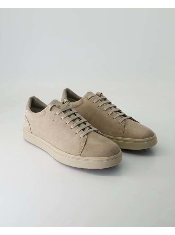 Geox Sportliche Schnürschuhe in Beige