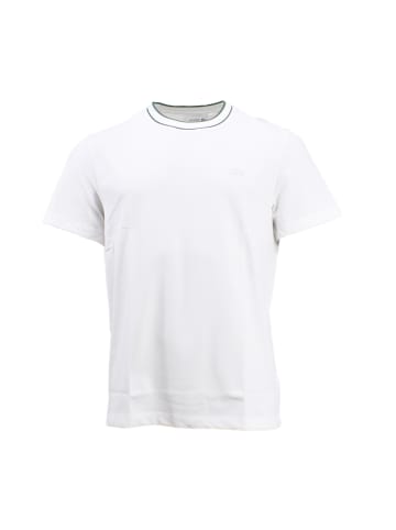 Lacoste T-Shirt in Blanc