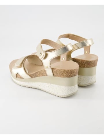 PANAMA JACK Wedges in Gold