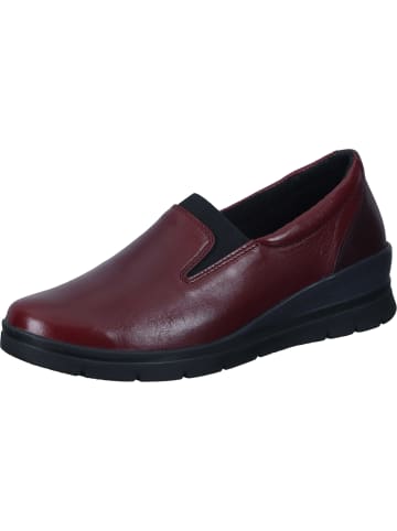 Comfortabel Komfort-Slipper, Slipper, Klassische Slipper in bordeaux