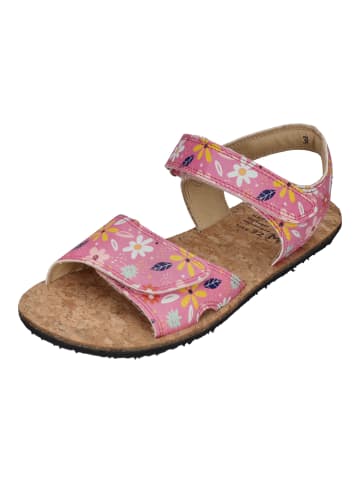 KOEL Sandalen ASHLEY  in rosa